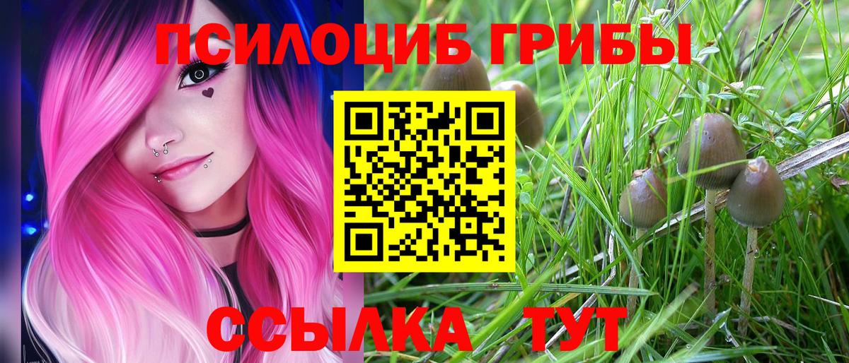 Галлюциногенные грибы Magic Shrooms  Вход с VPN  Апатиты 